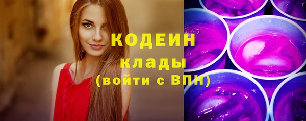мет Новозыбков