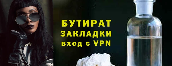 прущие грибы Новодвинск
