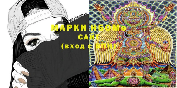 прущие грибы Новодвинск