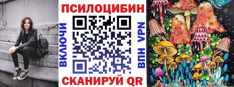 Купить где  Гремячинск  Галлюциногенные грибы прущие грибы 